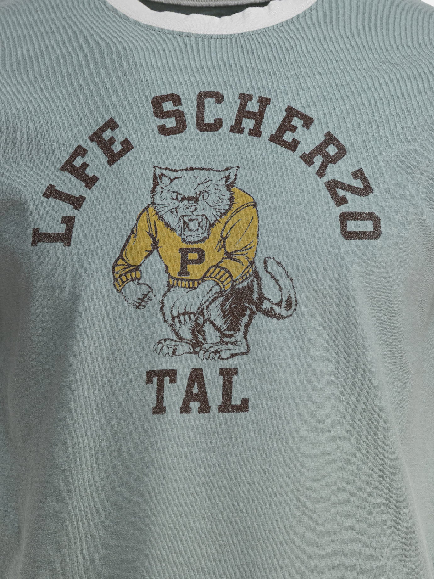 KAPITAL &quot;College CAT PITAL&quot; T-shirt 15402042_2 Light blue thumbnail_3