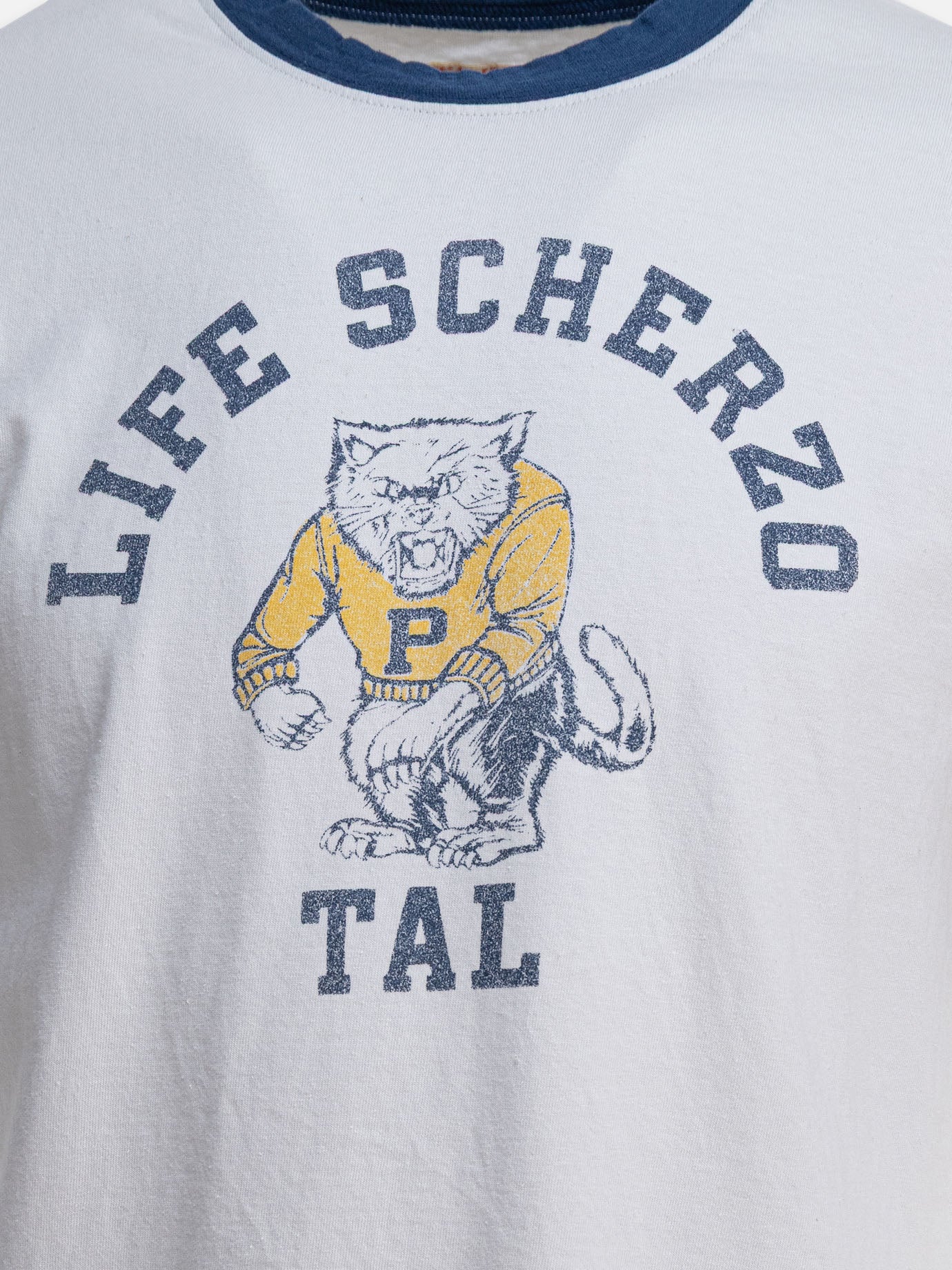 KAPITAL &quot;College CAT PITAL&quot; T-shirt 16406725_2 Grey thumbnail_3