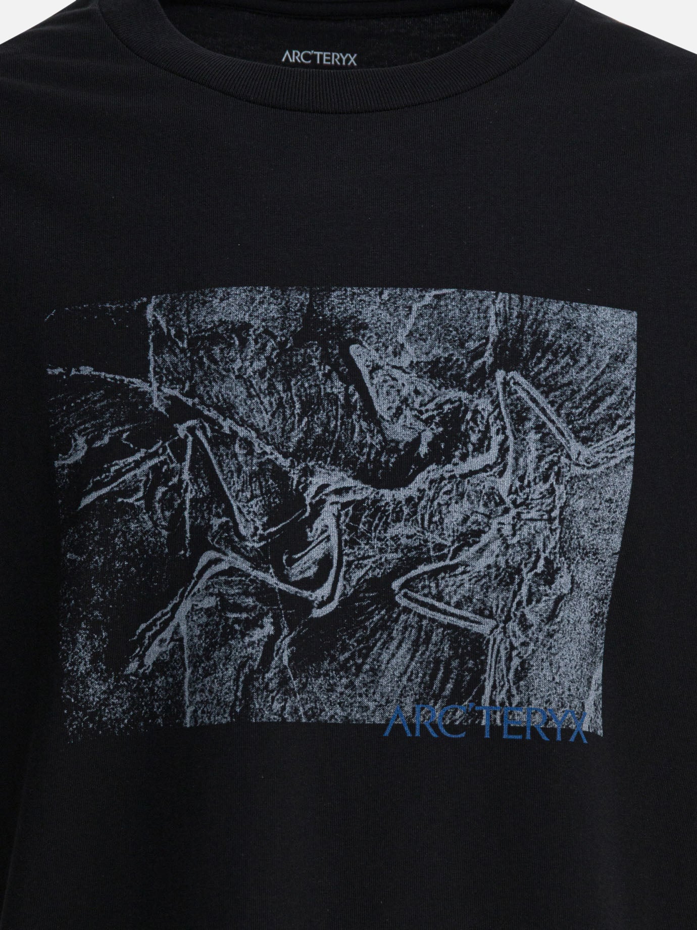 Crewneck t-shirts Graphics  Black - Arc'teryx Men | PDP | VIETTI Online Store | Zoom-Modal_3
