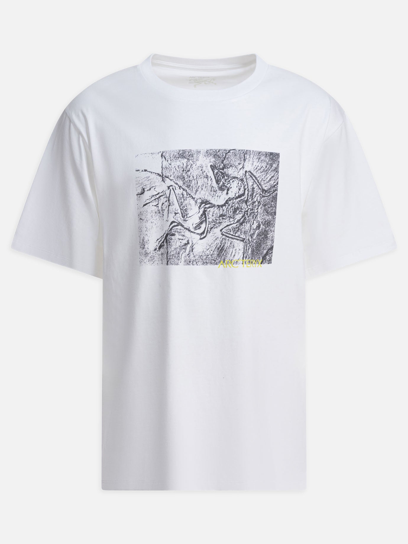 Crewneck t-shirts Graphics  White - Arc'teryx Men | PDP | VIETTI Online Store | thumbnail