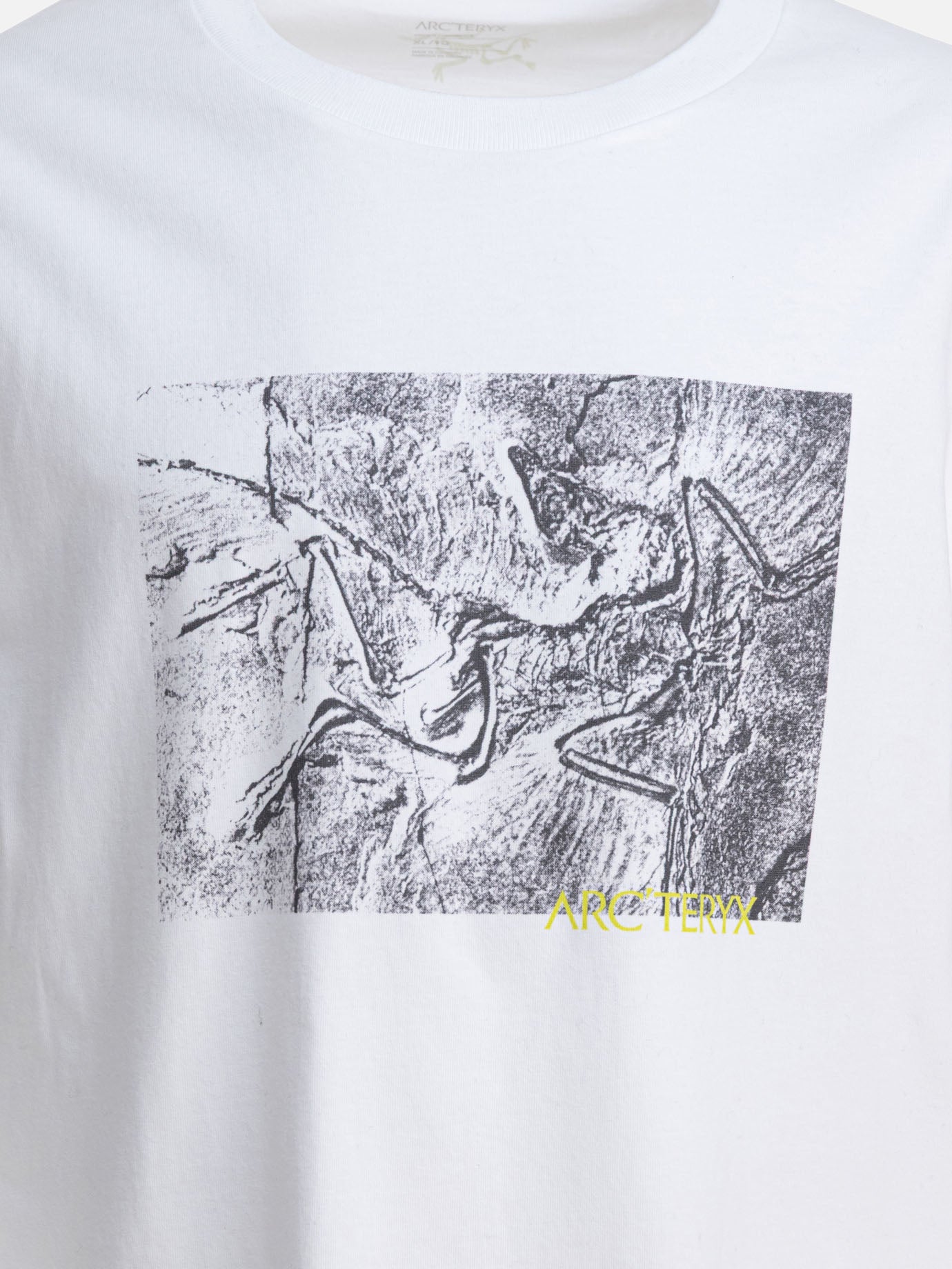 Crewneck t-shirts Graphics  White - Arc'teryx Men | PDP | VIETTI Online Store | thumbnail_3