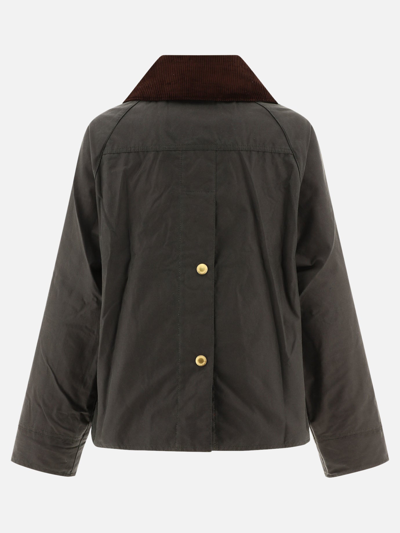 Raincoats & Trench coats Logo  Beige - Barbour Women | PDP | VIETTI Online Store | Zoom-Modal_2

