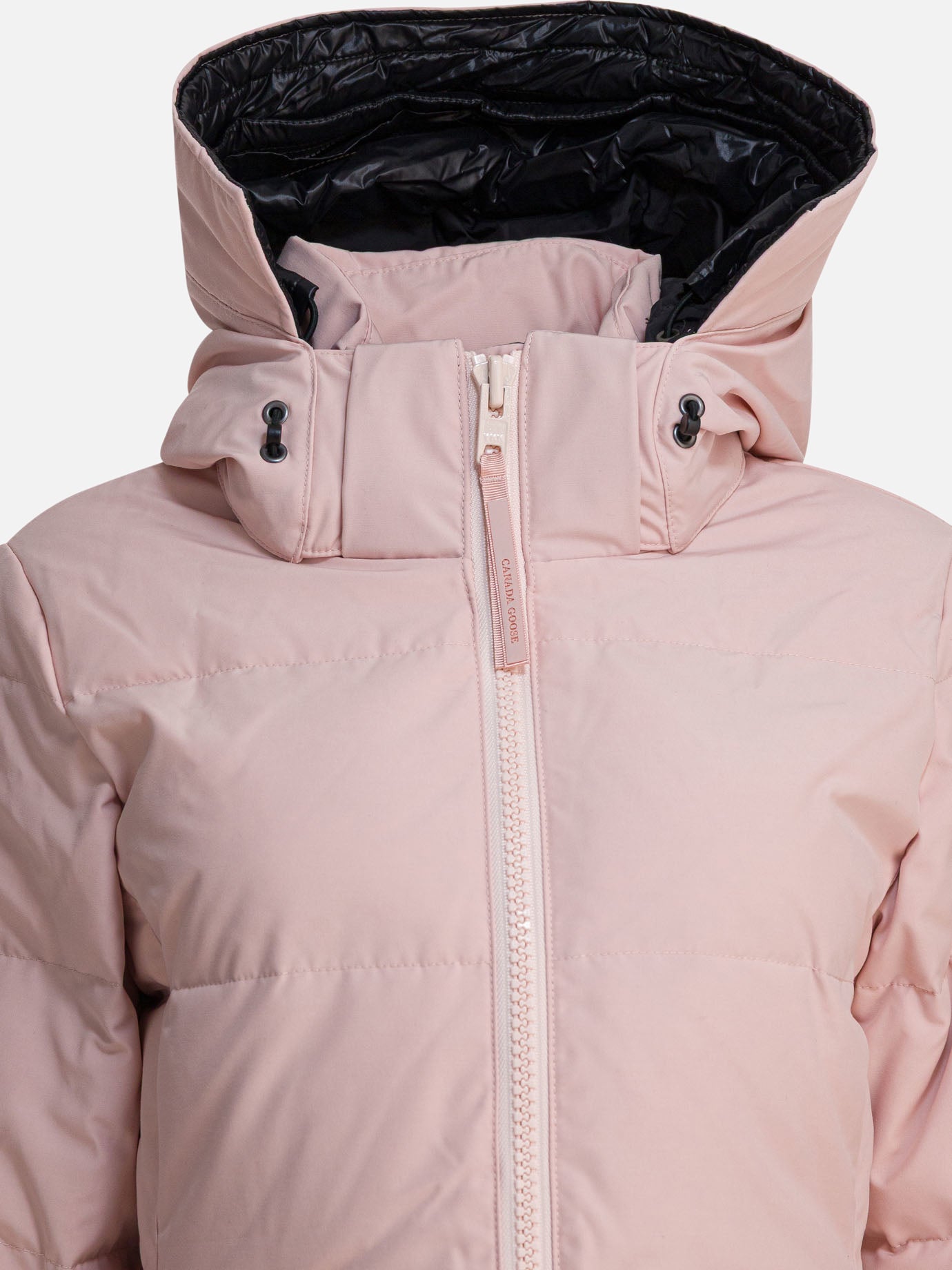 Parkas Logo  Pink - Canada Goose Women | PDP | VIETTI Online Store | thumbnail_3