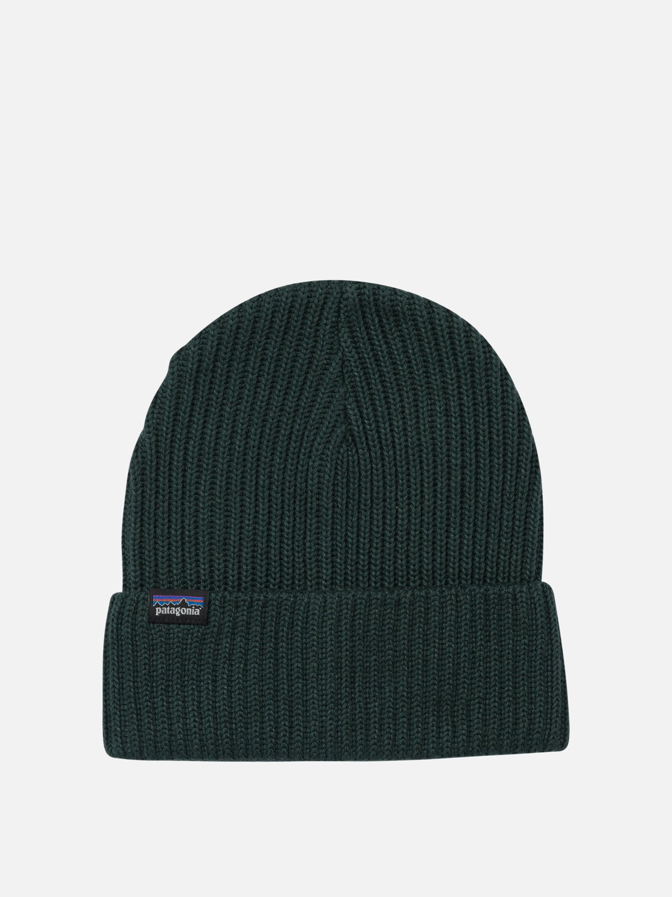 Beanies Logo  Green - Patagonia Men | PDP | VIETTI Online Store | thumbnail